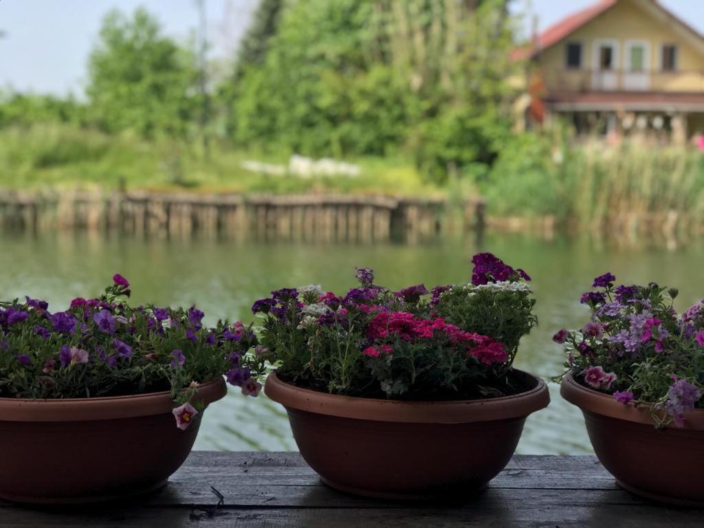 Agva Sweet Home River Hotel Exterior foto
